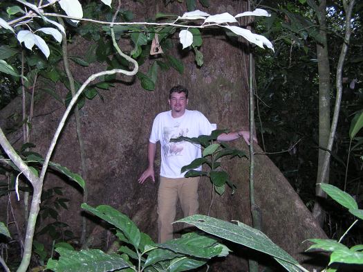 Me near large tree in Bukit Barisan Selatan National Park, Sumatra, Indonesia. 2006.