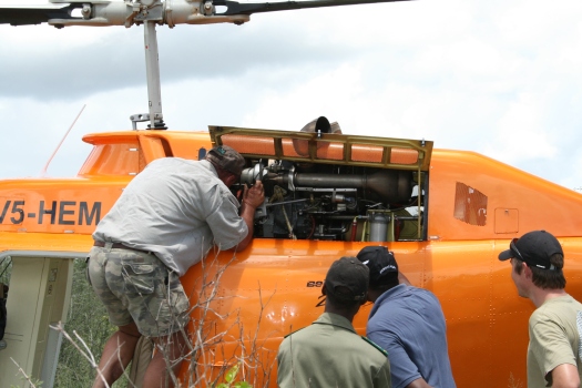 Impromptu helicopter repairs in the Namibian bush during rhino capture operation